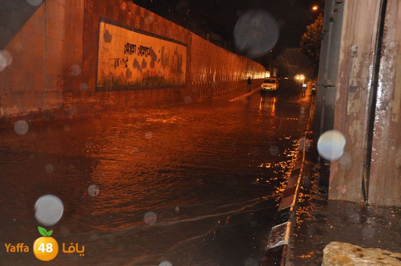 rain lud 1212 (18).JPG